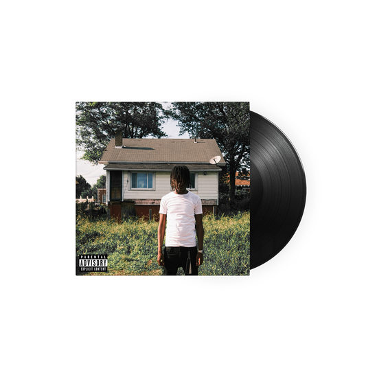 VINYLE « DMVP »